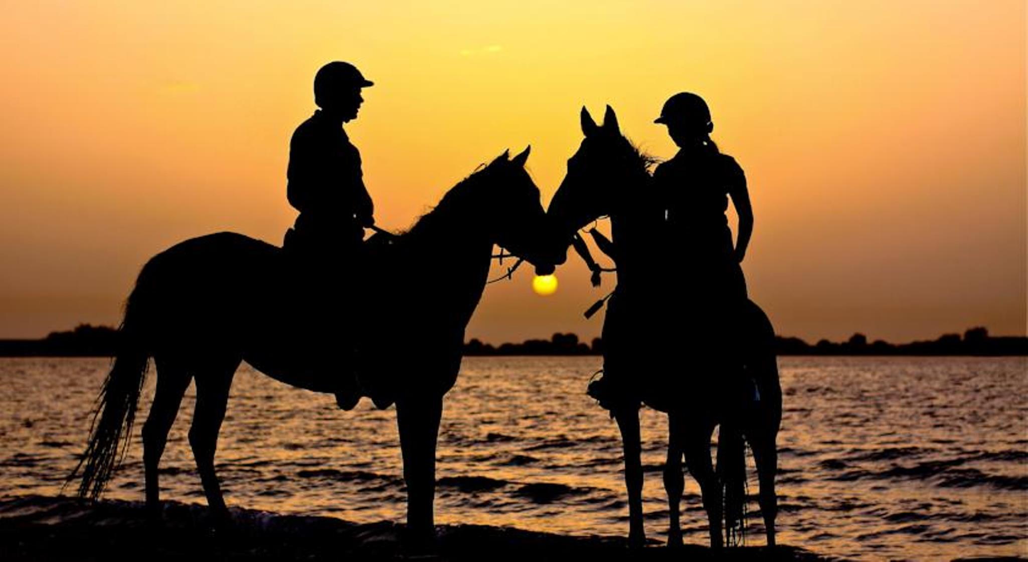 Anantara Sir Bani Yas Island Al Yamm Villa Resort Da'sah Extérieur photo