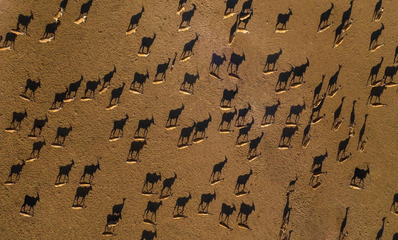 Anantara Sir Bani Yas Island Al Yamm Villa Resort Da'sah Extérieur photo